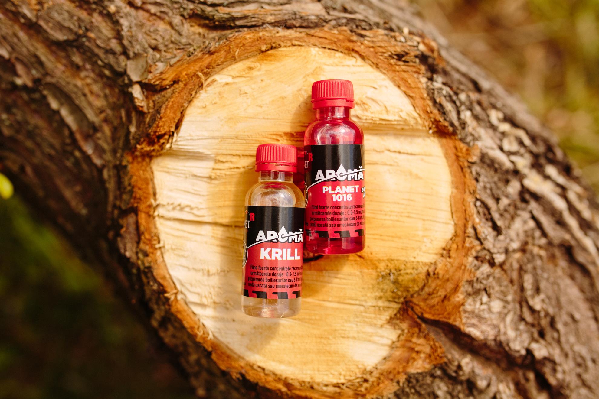 SNZ 2017 - senzor-pe-balta---046.jpg